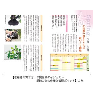 書籍 本 盆栽専門誌「老爺柿・きんずの育て方」...の詳細画像3