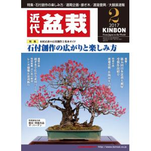寿悦白釉長方鉢 盆栽鉢 植木鉢 盆器 pot bonsaipot juetsu ジュエツ