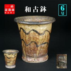 角山窯幸峰浮彫龍文長方鉢 第17回現代小鉢作家展「泥物の部」銀賞受賞