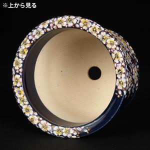 六代渋草柳造浮絵桜図丸鉢 盆栽鉢 鉢 植木鉢 ...の詳細画像3