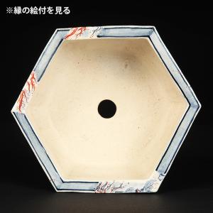 七代渋草柳造染付百鬼夜行図六角鉢 盆栽鉢 植木...の詳細画像3