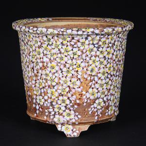 盆栽鉢 「高山赤絵山水図長方鉢」 植木鉢 絵付鉢 作家鉢 磁器 5号 15cm