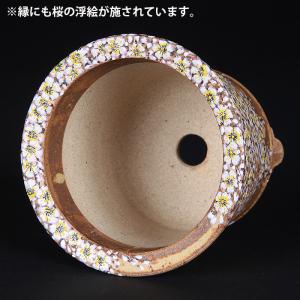 六代渋草柳造浮絵桜図丸鉢 盆栽鉢 鉢 植木鉢 ...の詳細画像3