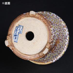 六代渋草柳造浮絵桜図丸鉢 盆栽鉢 鉢 植木鉢 ...の詳細画像4