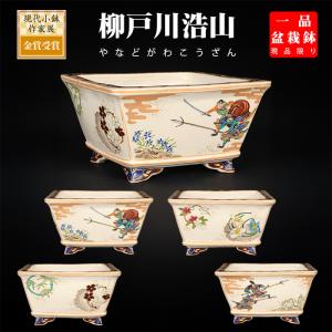 盆栽鉢 柳戸川浩山日本文化図透入長方鉢 絵付鉢 手造り 手描き 4号