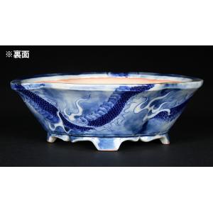 盆栽鉢 植木鉢 「玲雀染付龍図木瓜式鉢」 磁器...の詳細画像1