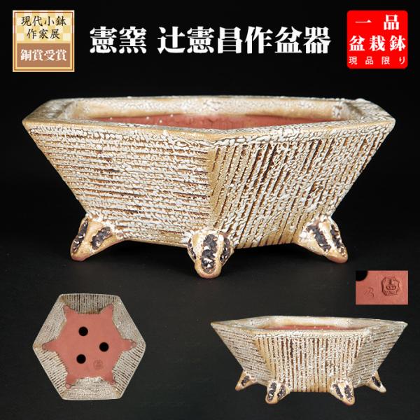 盆栽鉢 「憲窯白釉六角鉢」 植木鉢 辻憲昌 ケンヨウ 色鉢 陶器 ホワイト 6号 18cm 小品盆栽...