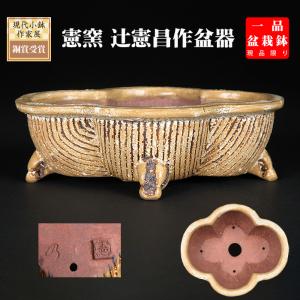 盆栽鉢 「憲窯蕎麦釉六角鉢」 植木鉢 辻憲昌 ケンヨウ 色鉢 陶器