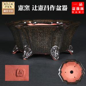 角山窯幸峰浮彫龍文長方鉢 第17回現代小鉢作家展「泥物の部」銀賞受賞