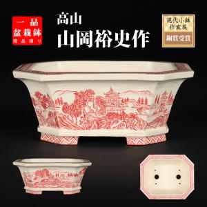 盆栽鉢 「紀伊赤絵山水図楕円鉢」 植木鉢 絵付鉢 作家鉢 磁器 共箱