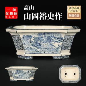 盆栽鉢 「紀伊赤絵山水図楕円鉢」 植木鉢 絵付鉢 作家鉢 磁器 共箱