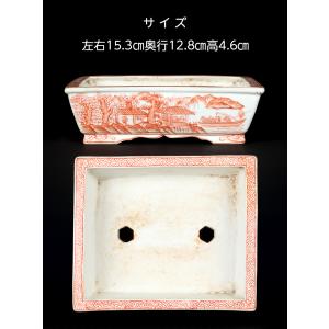 盆栽鉢 雄山色絵・赤絵長方鉢一対 ユウザン 5...の詳細画像2