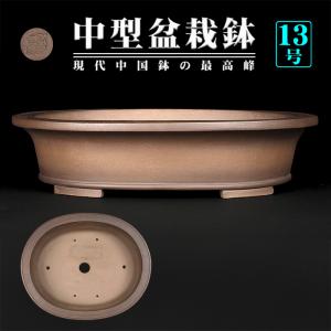 盆栽鉢 「紀伊赤絵山水図楕円鉢」 植木鉢 絵付鉢 作家鉢 磁器 共箱