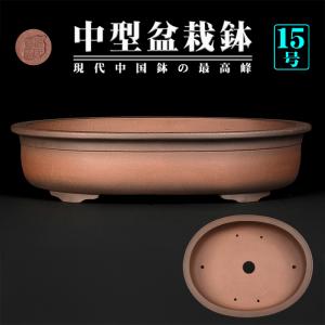 盆栽鉢 紫泥外縁木瓜式鉢 植木鉢 中国鉢 張氏製陶 落款あり 15号 45cm