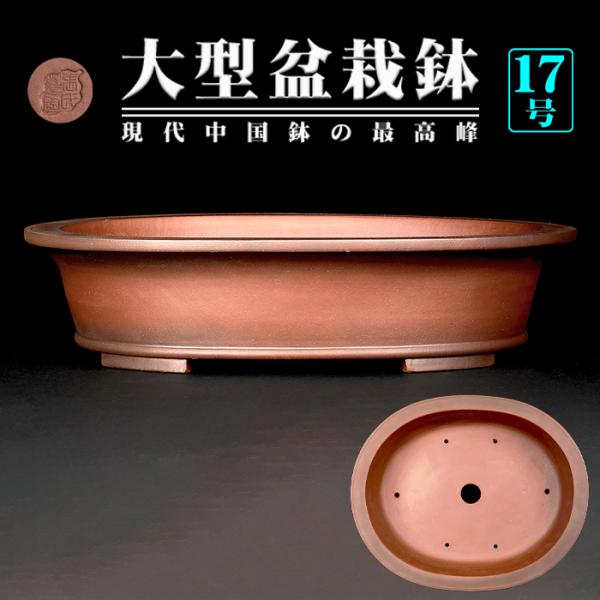 盆栽鉢 紫泥外縁下紐楕円鉢 植木鉢 中国鉢 張氏製陶 落款あり 17号 50cm 大型鉢 シデイ ブ...