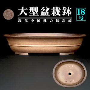美芸　楕円　盆栽鉢 盆栽鉢 中国宜興 小型 長辺 約12.5cm 楕円鉢 袋式 泥物