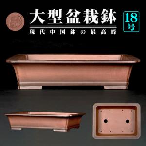 盆栽鉢 紫泥外縁隅切額面長方鉢 植木鉢 中国鉢 張氏製陶 落款あり 18号