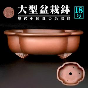 盆栽鉢 紫泥外縁木瓜式鉢 植木鉢 中国鉢 張氏製陶 落款あり 15号 45cm