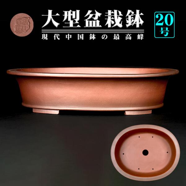 盆栽鉢 紫泥外縁下紐楕円鉢 植木鉢 中国鉢 張氏製陶 落款あり 20号 61cm 大型鉢 シデイ ブ...