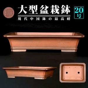 盆栽鉢 烏泥外縁隅切額面長方鉢 植木鉢 中国鉢 張氏製陶 落款あり 17号