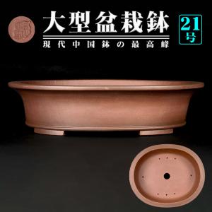 佳山外縁上下帯長方鉢 盆栽鉢 盆器 鉢 植木鉢 bonsaipot 常滑 とこなめ