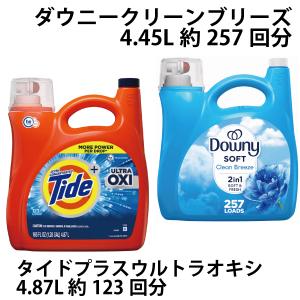 ダウニー（Downy） クリーンブリーズ 洗濯柔軟剤 (Downy Clean Breeze 