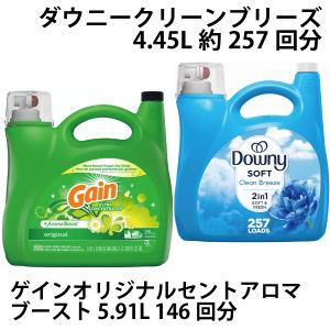 タイド (超濃縮タイド洗剤) タイド(Tide)オリジナル (5.02L/約152回分