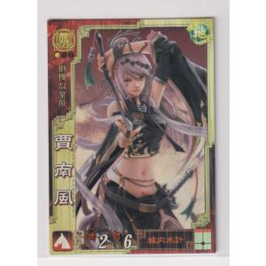 三国志大戦TCG 16弾　PT 甘皇后 2枚セット 三国志大戦TCG 16弾 PT 甘皇后 2枚セット 【公式通販】