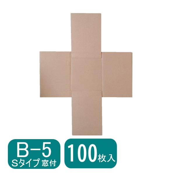 【B5判宅配用ケース】キャッスルケース B-5 Sタイプ 窓付 100枚