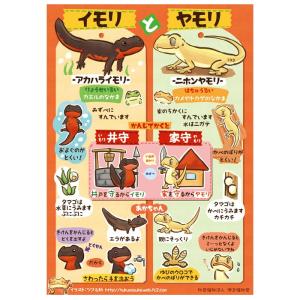 爬虫類　カナヘビ　ポスター　額縁付 2501-3022)赤木かん子ポスター 爬虫類A1ポスター「カナヘビとトカゲの