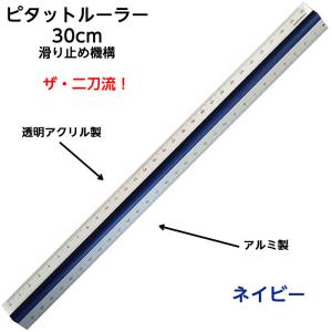 NEW 滑らない定規 ピタットルーラーG 15cm 定規 滑り止め機能プラム 