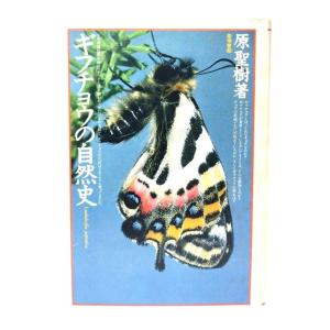 book-smile_ynsm3e-4-26022607