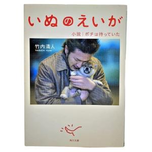源氏物語 謹訳 改訂新修 全巻 セット 全10巻 林望 祥伝社文庫 全巻