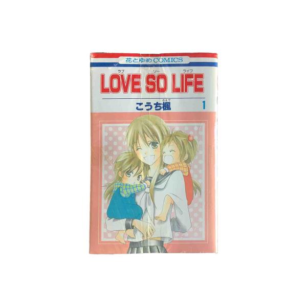 LOVE SO LIFE　ラブソーライフ　全１７巻セット/こうち楓