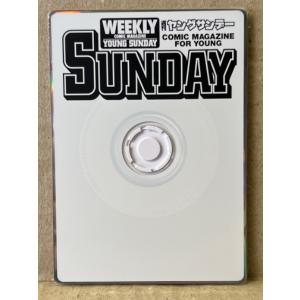 週刊ヤングサンデー　WEEKLY YOUNG SUNDAY Special IDOL Card-ROM 2001　カード型8cm CD-ROM Windows用　盤質良好