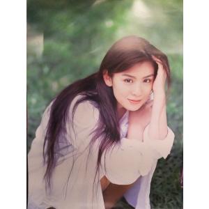 雛形あきこ No.4 Vol.1　ポスター　イエローキャブ　業務用遊技機用景品ポスター　非売品　B2...