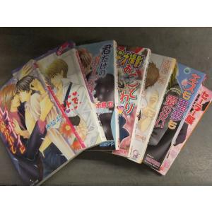 水島忍　ノベルズ7冊セット　プレイボーイに口説かれて 報酬はハニーテイストで 君だけのガーディアン ...