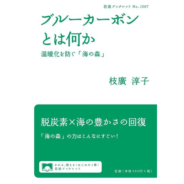 ブルーカーボンとは何か 温暖化を防ぐ「海の森」/枝廣淳子