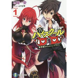 送料無料 ハイスクールD×D 1-25巻 石踏一榮 中古ライトノベル ラノベ