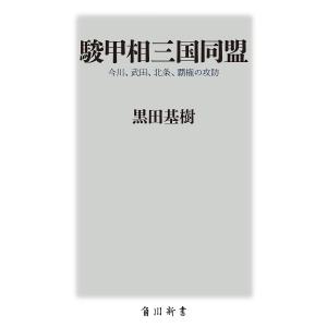 駿甲相三国同盟 今川、武田、北条、覇権の攻防/黒田基樹