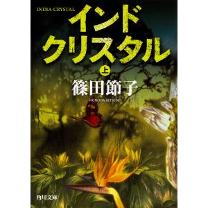 インドクリスタル 上/篠田節子