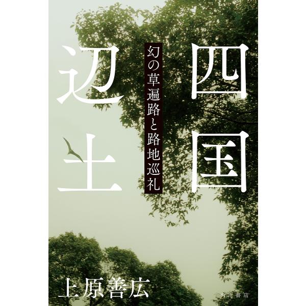 四国辺土 幻の草遍路と路地巡礼/上原善広