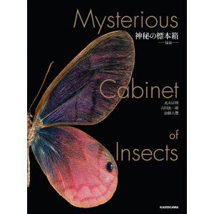 神秘の標本箱-昆虫-/丸山宗利/吉田攻一郎/法師人響