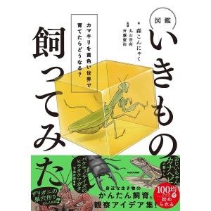 〔予約〕いきもの飼ってみた!図鑑 カマキリを黄色い世界で育てたら、どうなる?/森こんにゃく