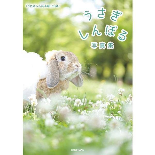 うさぎしんぼる写真集 「うさぎしんぼる展」公認!/BACON