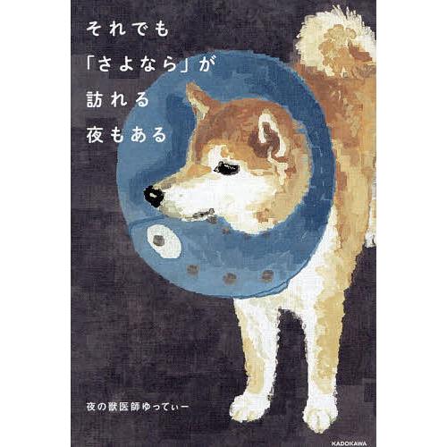 それでも「さよなら」が訪れる夜もある/夜の獣医師ゆってぃー