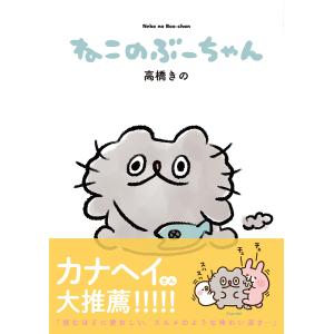 ねこのぶーちゃん/高橋きの