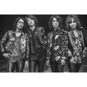 〔予約〕THE YELLOW MONKEY 偉大なる復活 Photographs by MITCH IKEDA/MITCHIKEDA