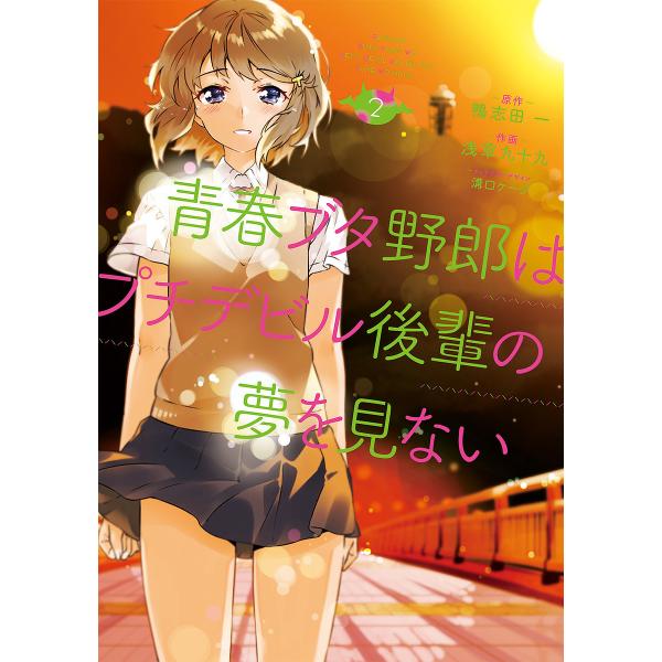 青春ブタ野郎はプチデビル後輩の夢を見ない 2/鴨志田一/浅草九十九