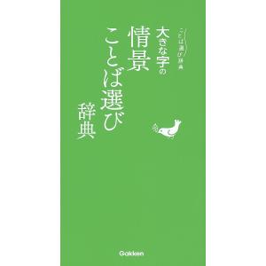 大きな字の情景ことば選び辞典